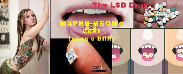 спиды Горняк