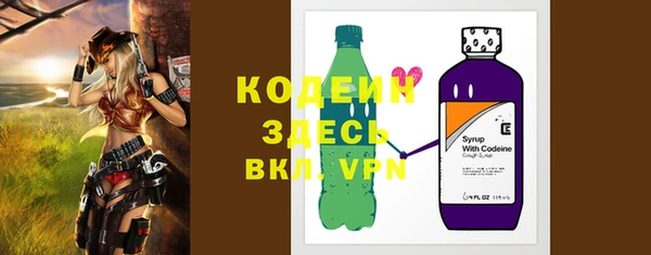 стаф Вязьма